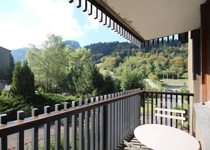 T2 Avec Balcon Au Dore, Parking Inclus - Fr-1-608-135 Le Mont-Dore