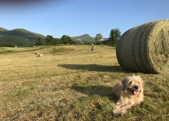 T2 Avec Balcon Au Dore, Parking Inclus - Fr-1-608-135 Apartment