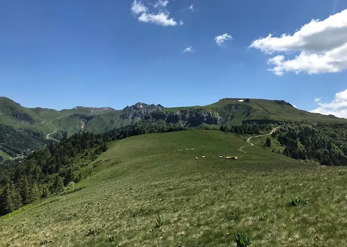 T2 Avec Balcon Au Dore, Parking Inclus - Fr-1-608-135 Le Mont-Dore